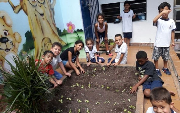 Read more about the article Projeto horta do PAC